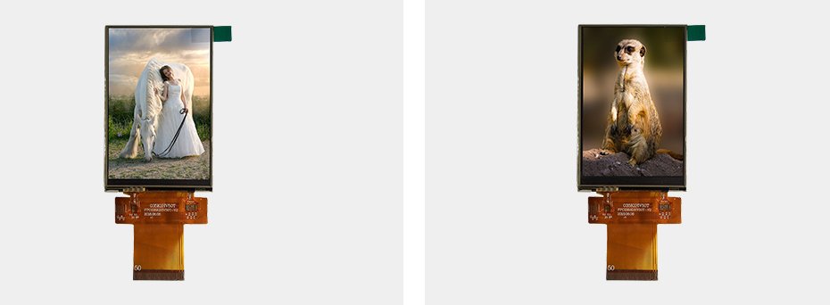 3點(diǎn)5寸詳情 3點(diǎn)5寸詳情